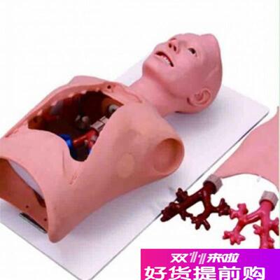 KAY-LhV48支气管内窥镜训练模型