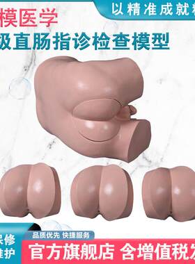 弘模HOM/LV39高级直t肠指诊检查模型前/列腺触诊模型肛门检查模型