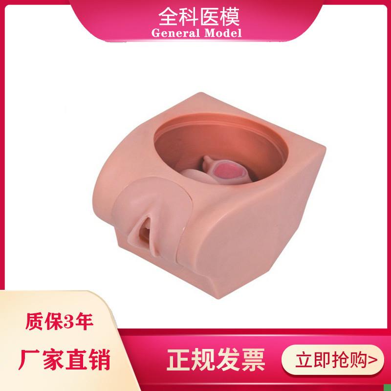 计划生育教育模型宫内避孕器G上环训练指导道具模具