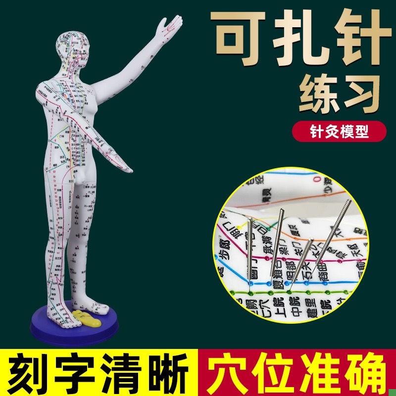 董氏奇穴人体模型仿真大号中医针灸可扎针十N二经络铜人全身穴位