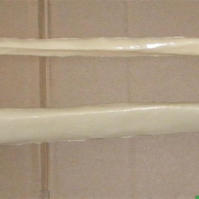 人体1:1胫骨l腓骨模型骨骼骨架模型医用教学模型