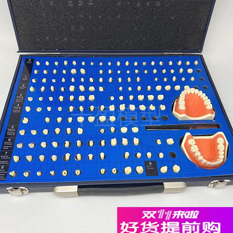 口腔齿科备牙模型牙体制r备窝洞义齿加工模型技工牙体预备展示模