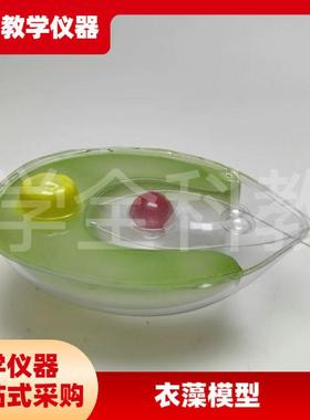 衣藻模型单细胞绿色植物生物课教学仪器初高中实验室装Z备仿真透