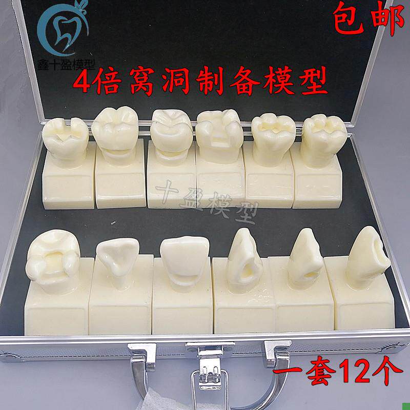 牙科4倍a大窝洞制备模型四倍牙齿备牙标准示范嵌体洞型12个M7025