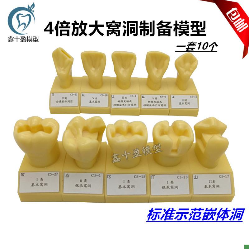 牙科口腔模型E4倍大窝洞制备模型备牙牙粒单色T备牙标准示范模型