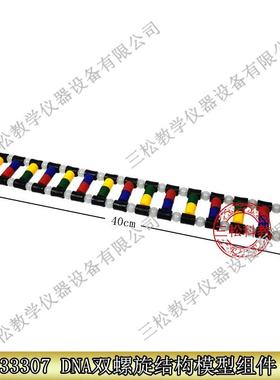 33307DNA双螺旋结构模x型组件生物实验演示DNA组成教学仪器