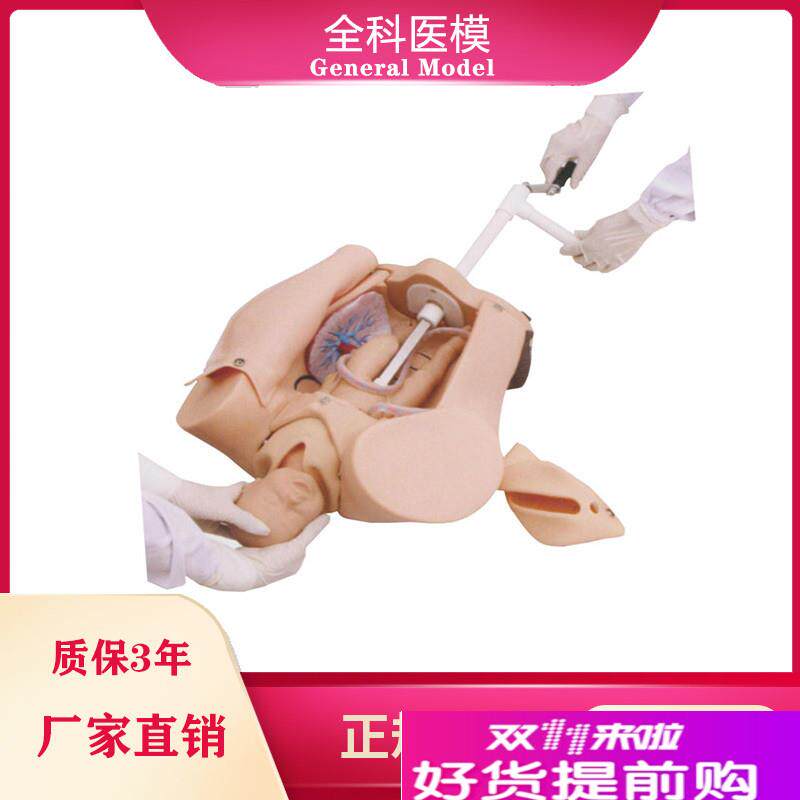 高级手摇分娩机制示教模型女性胎位难产助Q产综合训练模型机