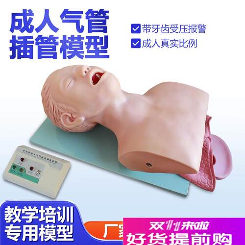 高级气管插管训n练模型带电子报警厂家直销品质保证