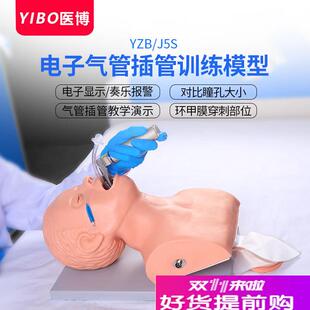 成人电子人体气管插管训练模型护士练I习用气管插管教学模型教具