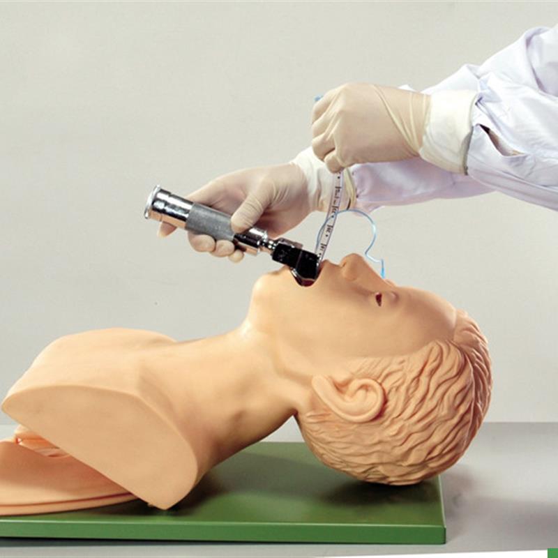 ENOVO颐诺电子气管插管训练模型(带报警)急救Q气管插管训练模型I