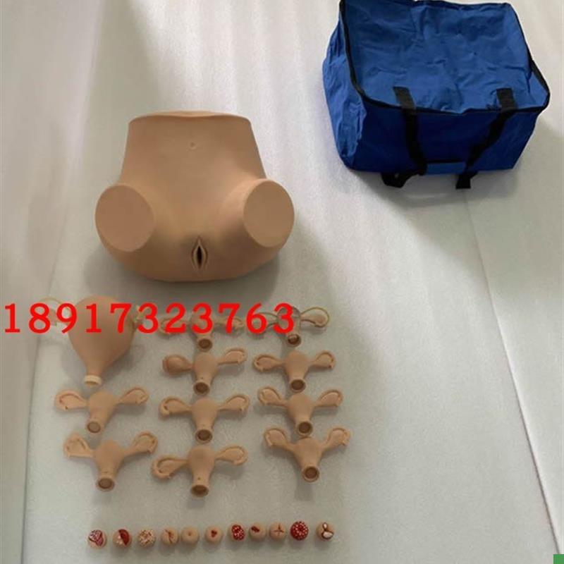 高级妇科检查模型妇科双合诊三合诊检O查模型产科检查教具