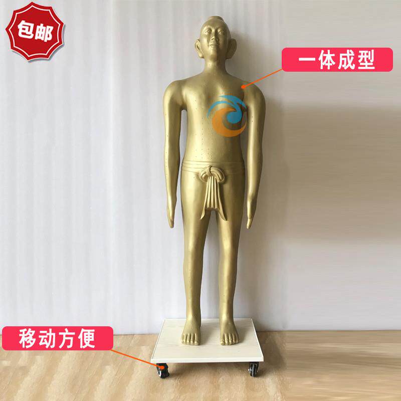 展览仿古针灸铜人人体经络穴位模型中医摆件文字清晰中W医馆高166