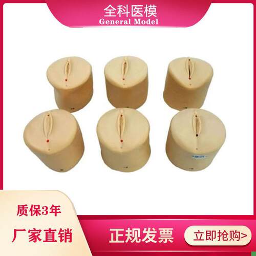产前宫颈口变化模型宫颈扩张教z具分娩产道医学用妇科教学模型模