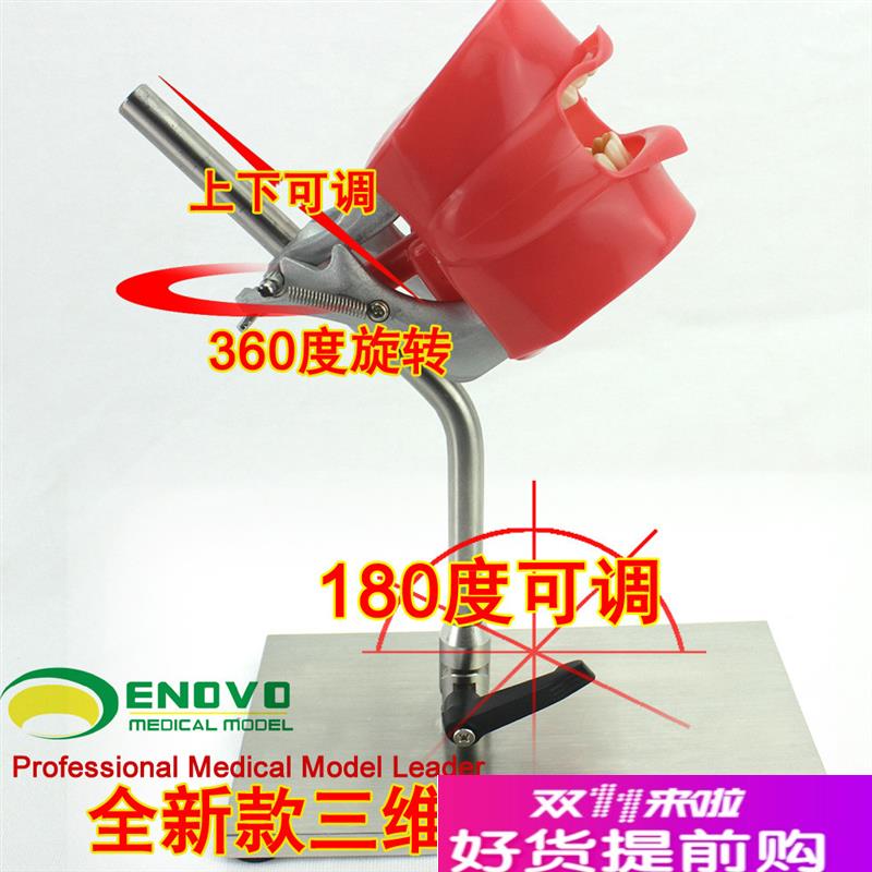 ENOVO正品口腔仿生头模系统牙科医生培训N制备仿真备牙齿教学模型
