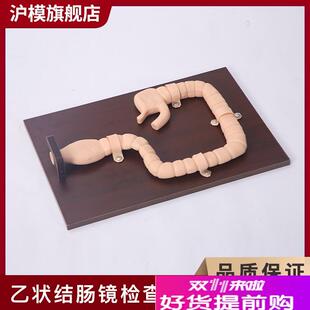 沪模HM/LV42h乙状结肠镜检查训练模型结肠内肠病变模型消化道内窥