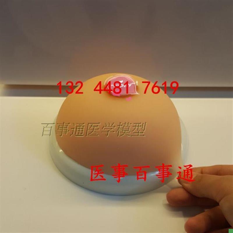 催乳师乳房模型假胸妇幼保健院护士培训教P具乳房母乳喂养宣传