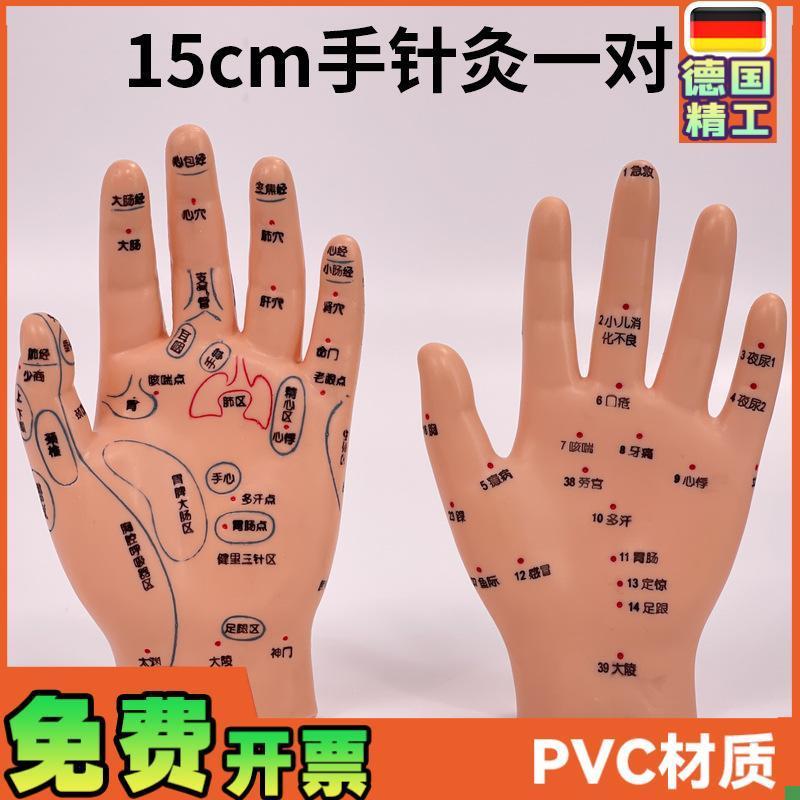 超清晰小a儿手部反射区模型中医推拿针灸教学穴位模型儿童仿真手