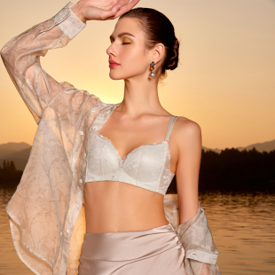 翡丽无钢圈性感内衣舒适聚拢精致蕾丝落日余晖WL2305西湖