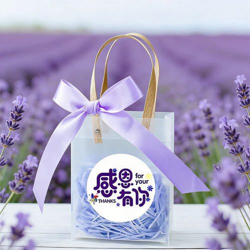 感恩有你透明伴手礼品袋
