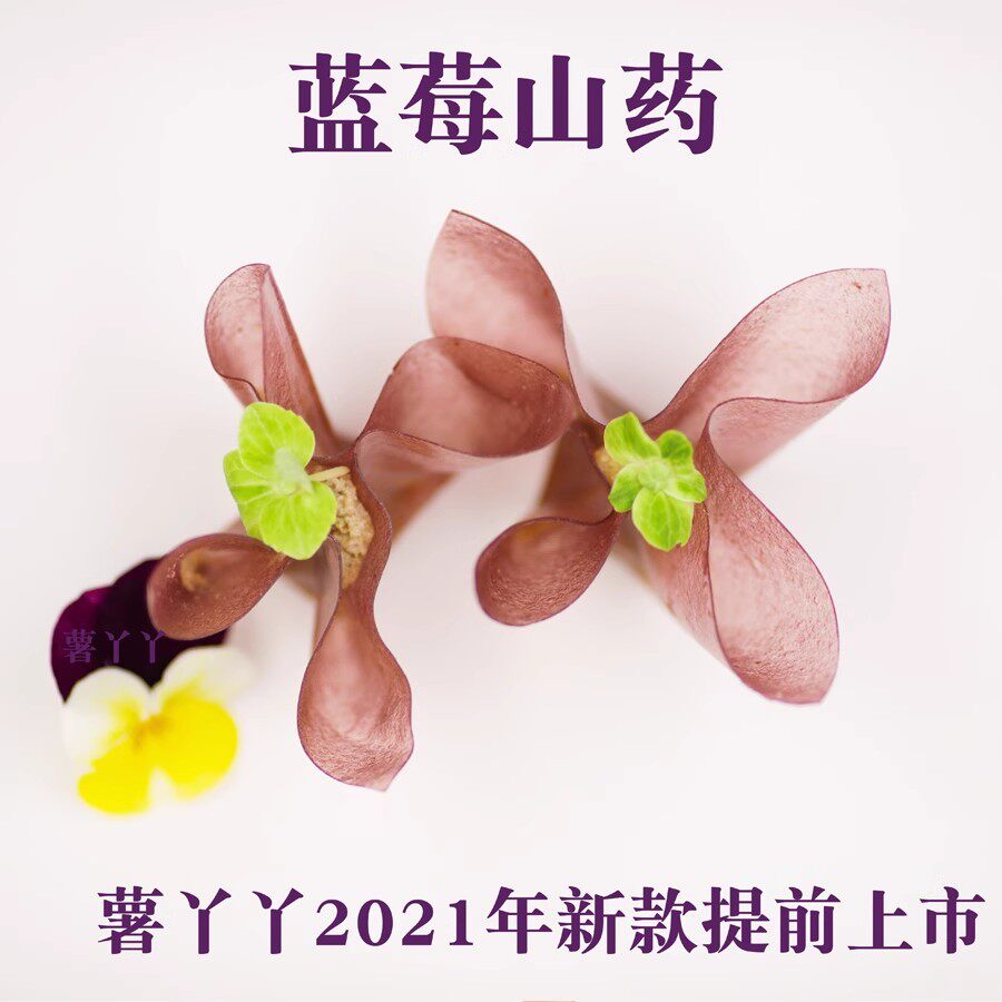 山楂鹅肝蓝莓超薄山楂皮片