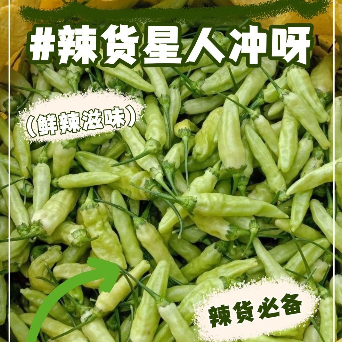 江西朝天椒新鲜小米辣特辣小米椒赣州野山椒赣南小皱皮秋指天椒王