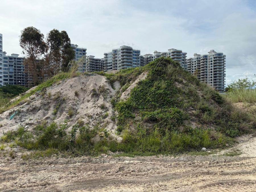 1月6日乐东砂土696.10立方米（以现场交付数量为准）网络拍卖公告