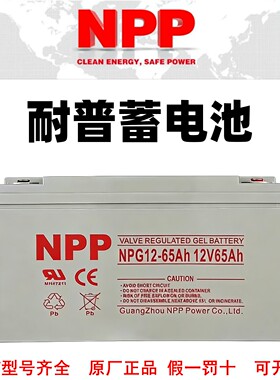 NPP耐普蓄电池NP65-12V7AH12A17A24A38AH40A55A65AH100AH150A200A
