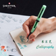 Sheaffer 犀飞利书法系列钢笔可替换笔尖绘图练字钢笔学生礼物美工钢笔艺术字墨水墨囊