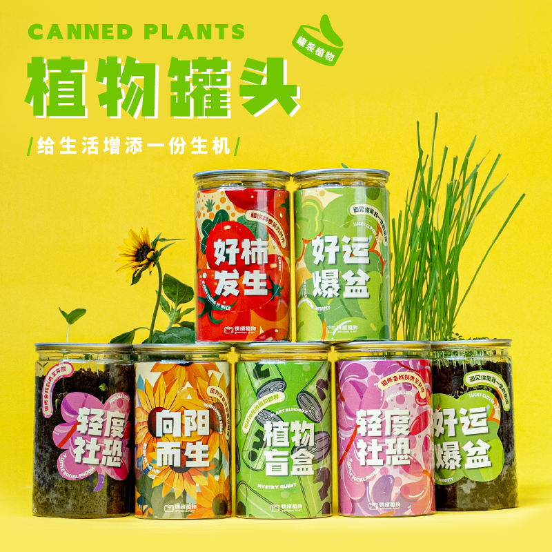植物盲盒创意礼物趣味新奇
