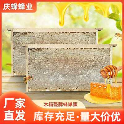 新脾整张荆条蜂巢蜜厂家批发封盖成熟蜜整脾木箱土蜂蜜