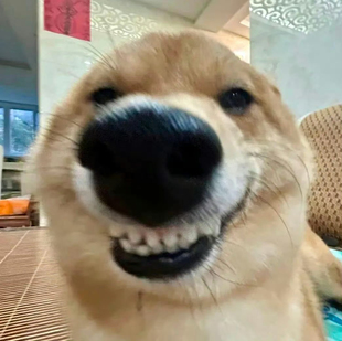 产品经理咨询产品经理职业规划/赋能/需求思路 10N+产品经理经验