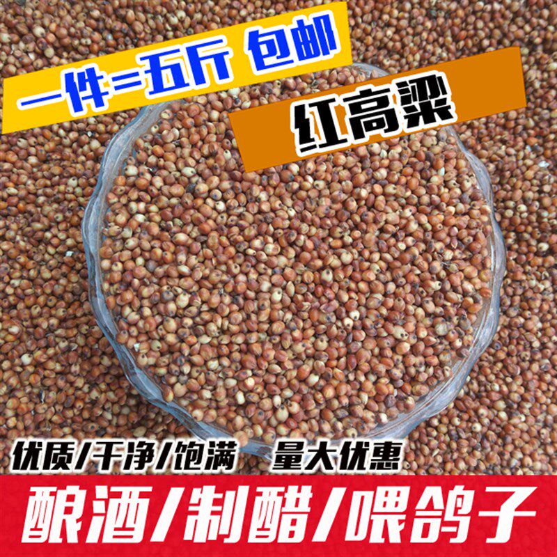 优质带皮红高粱米去壳未脱皮红高梁健脾胃酿酒喂鸽子饲料杂粮包邮