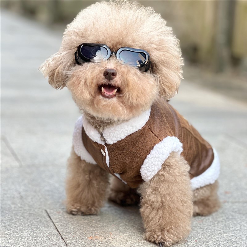 比熊专用衣服秋冬季款马甲棉衣宠物小狗狗加厚可牵引保暖泰迪幼犬