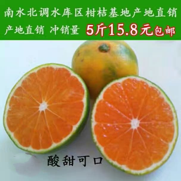 湖北武当蜜桔新鲜水果桔子橘子应季酸甜可口产地直销现摘现发5斤