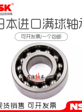 进口NSK满球耐高温轴承 BL 205 206 207 208 209 210 211 212 213