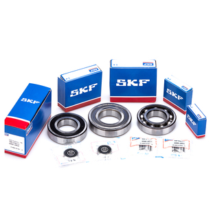 瑞典进口轴承16100 16101 16001 16002 16003 16004 16005Z ZZ