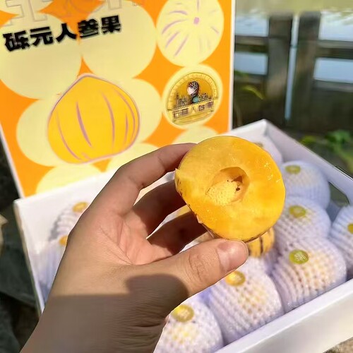 顺丰包邮石林砾元树上熟人参果