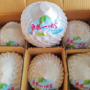 [东泰一个宝大椰青]泰国香水椰青新鲜去皮奶香椰子纯天然孕妇水果