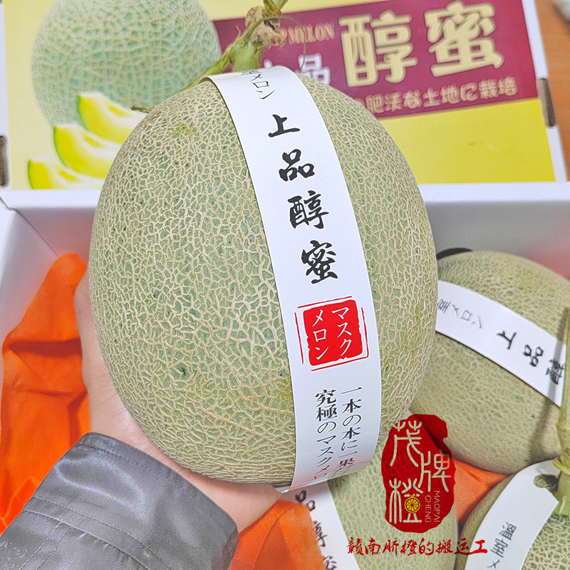 茂牌农场上品醇蜜冰淇凌蜜瓜网纹静冈精品高端水果新鲜哈密瓜