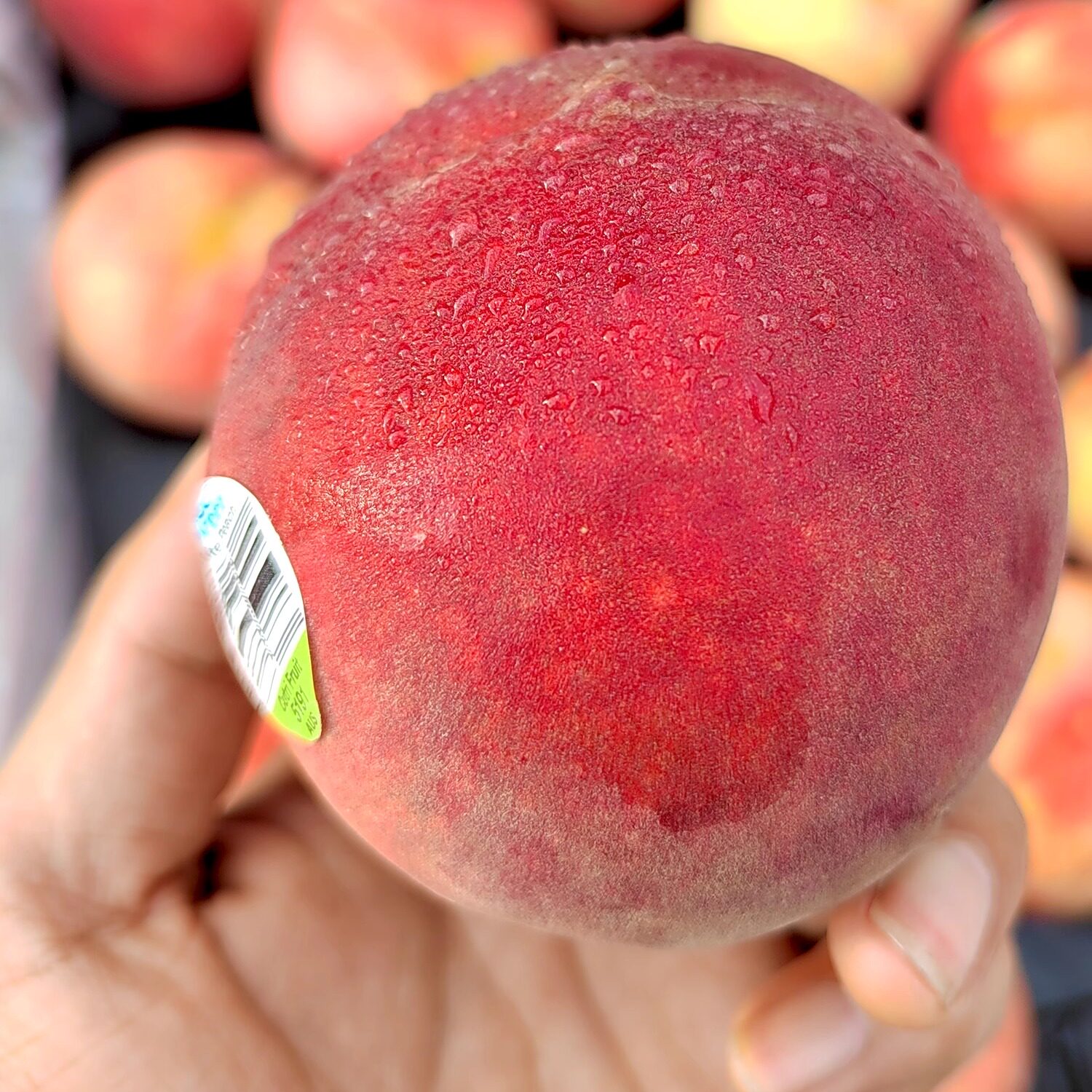 顺丰包邮澳洲水蜜桃7斤