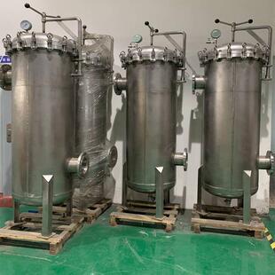 煤化工业用304不锈钢高精过滤器保安大流量过滤器LFDR-1-60