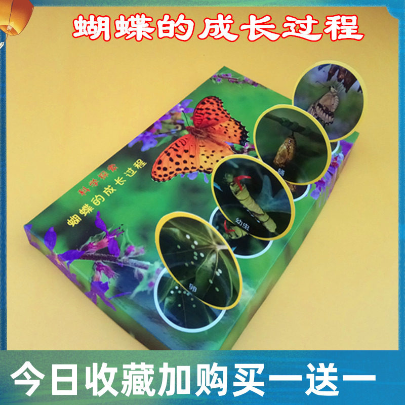 幼儿园自制趣味玩教具科学实验小制作手工材料生物学蝴蝶成长过程