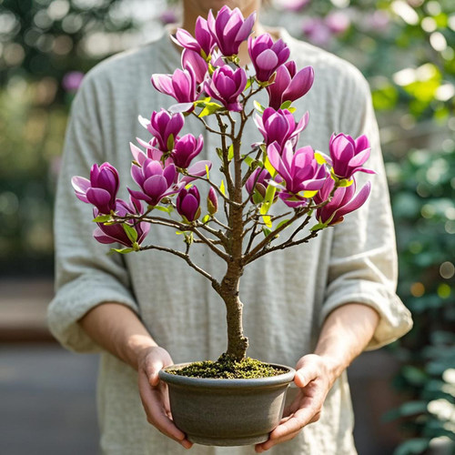 花期带花苞，保证对版，双色可选