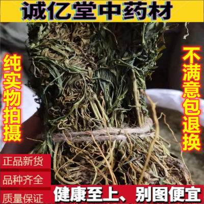 水黃莲中药材 新货 250g克包邮 正品 水灵芝 鱼胆草 黃脚鸡 散装