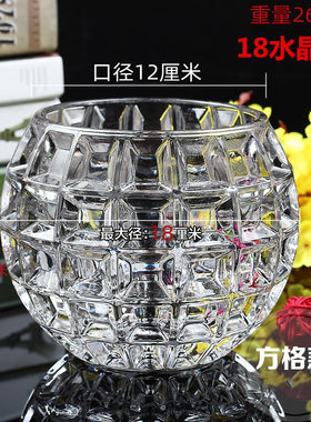 简约玻璃中国水培养绿萝多肉花盆