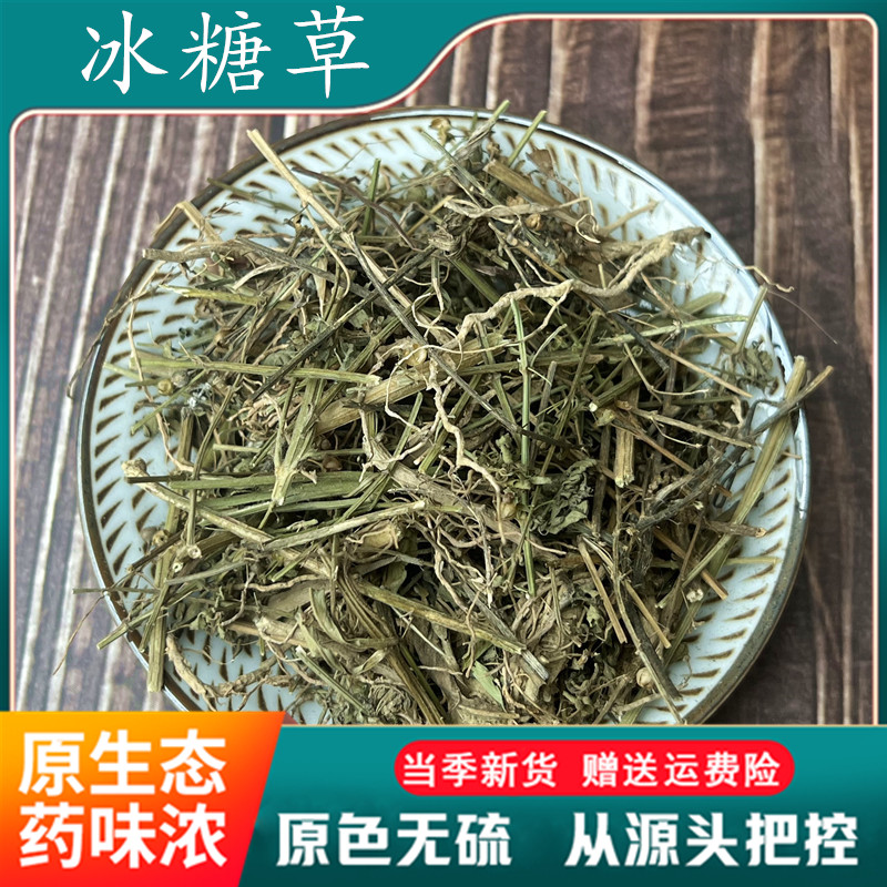 冰糖草500克土甘草珠子草