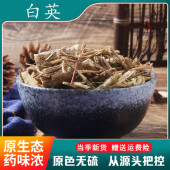 蜀羊泉 1件 白胡毛藤 野生白英500克 无硫中草药产地批發 包邮