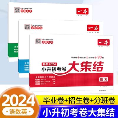 备考2024一本小升初考卷大集结