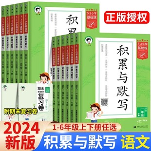 2024新版 五三5.3天天练汉语与拼音字词句专项训练小学语文同步练习册 53小学基础练积累与默写一二三四五六年级上册下册语文人教版