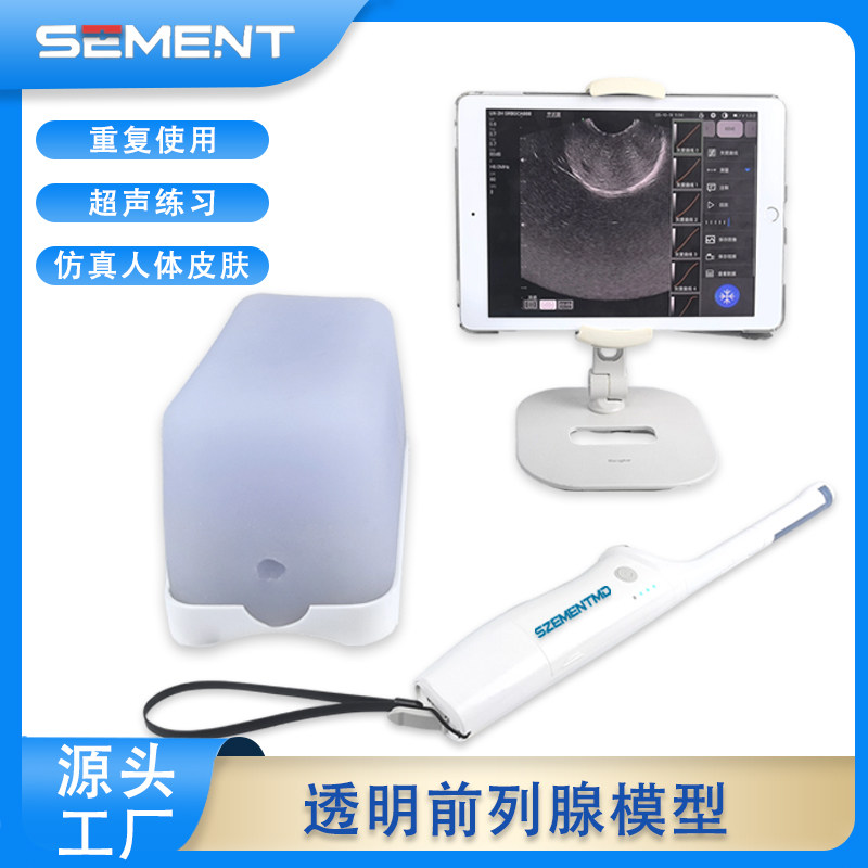 超声引导前列腺穿刺模型经会阴活检操作训练培训教学 - 实物图